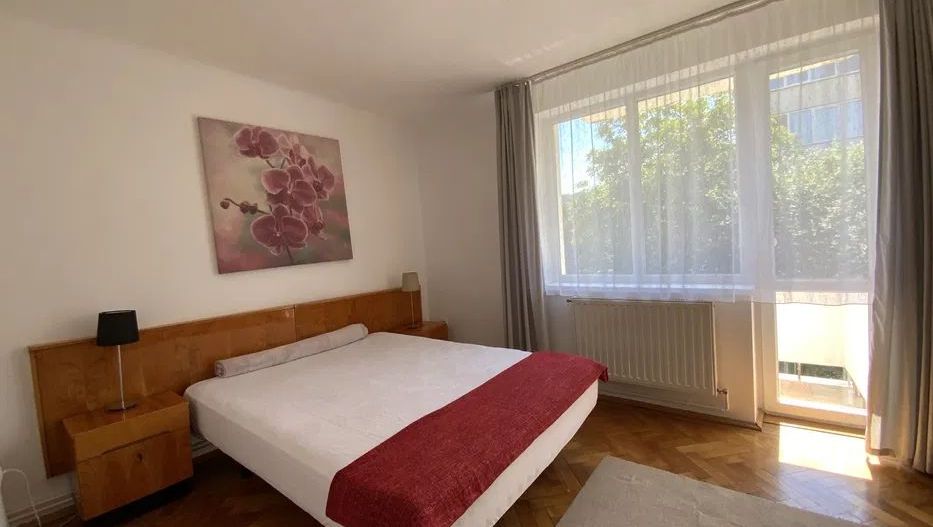 Cornisa - UMF - Apartament 2 camere - langa caminele studentesti - Poză 4