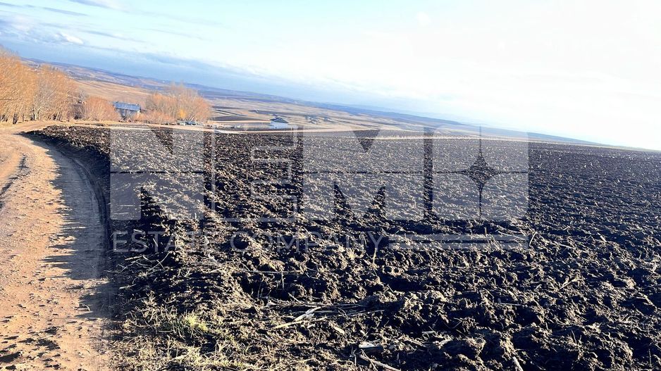 Teren I Suceava I Moara Nica I 2500 Mp I 54.900 Euro - Poză 7