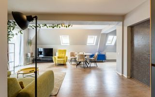 3 camere open space, Parcare, Modern, Pet Friendly, Europa - Poză 11