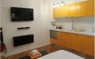 1 cam renovata integral Balcescu - Poză 2