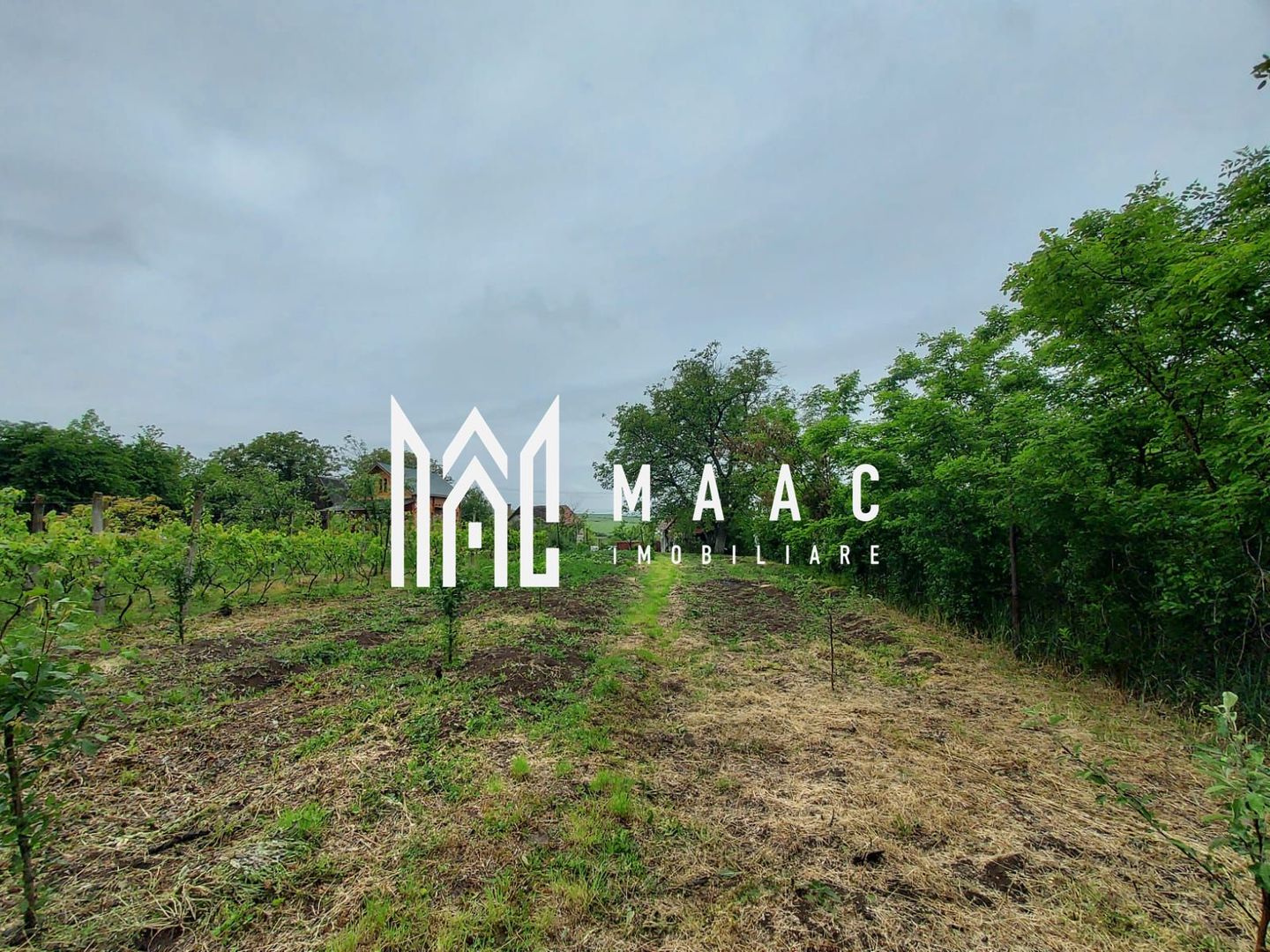 Casa | 1331 mp Teren | Miercurea Sibiului | - Poză 10