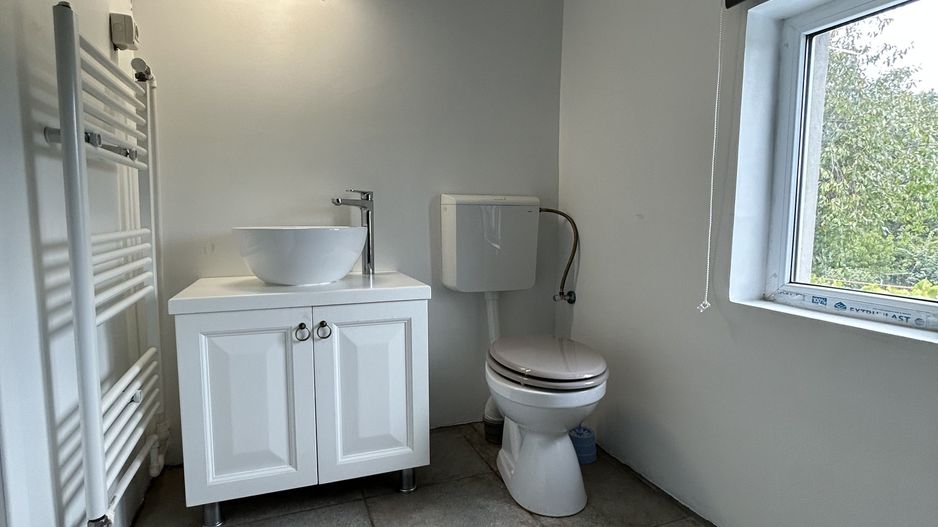 Casa P+1 din BCA ideala pentru o familie antreprenoare – Pecineaga - Poză 9