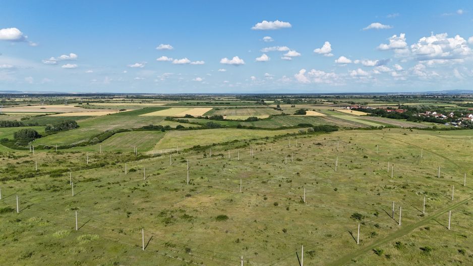 Terenuri zona  MOSNITA NOUA -  ALBINA . - Poză 35