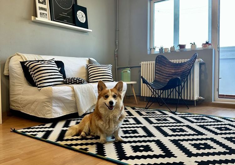 Închiriere Apartament cu 2 camere, Pet Friendly, 2 AC, 7 min metrou Iancului 🏡 - Poză 1