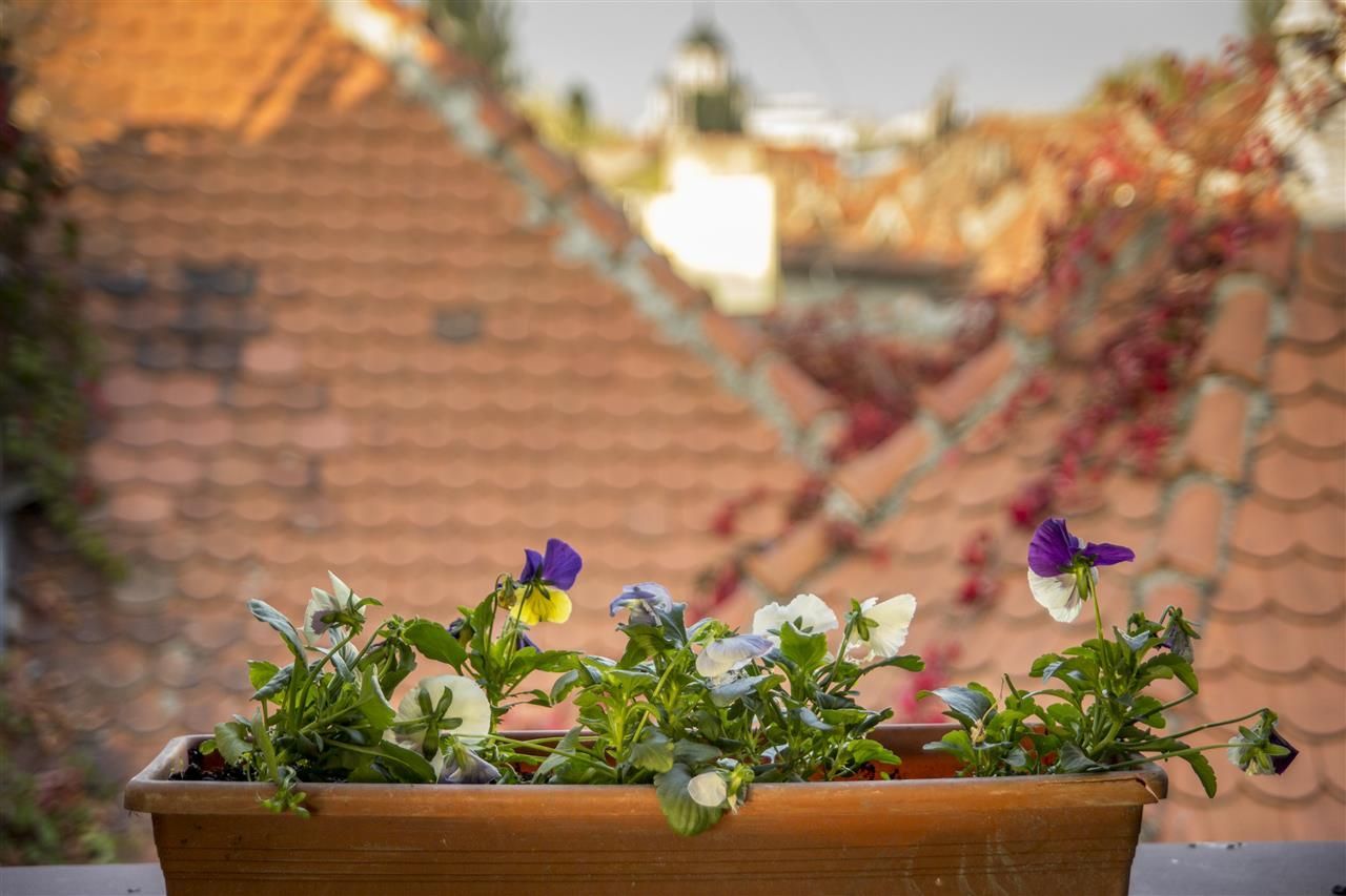 Duplex de vanzare in Cotroceni - 171mp COMISION 0% - Poză 16