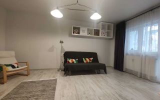 Apartament cu 2 camere in zona Tei - Poză 2