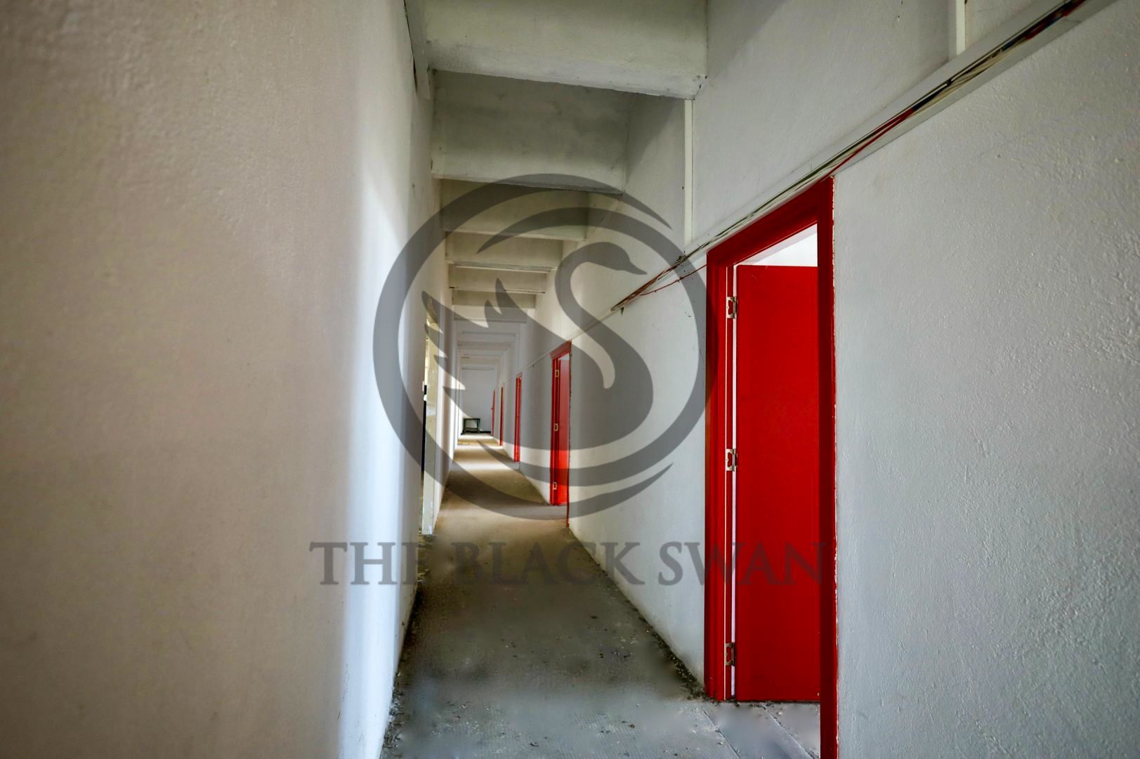 Hala industriala de vanzare | Mihai Bravu, Ploiesti | COMISION 0% - Poză 4