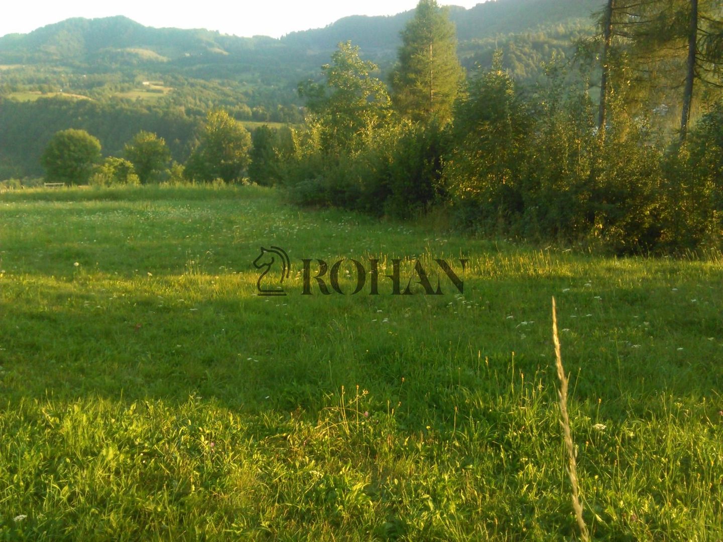 Teren intravilan 5360mp Bistrita Nasaud | Tiha Bârgăului - Poză 10