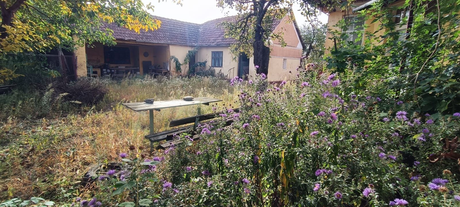 🏡  Casă de Poveste în Șiria, Arad- Locație Rară - Poză 1