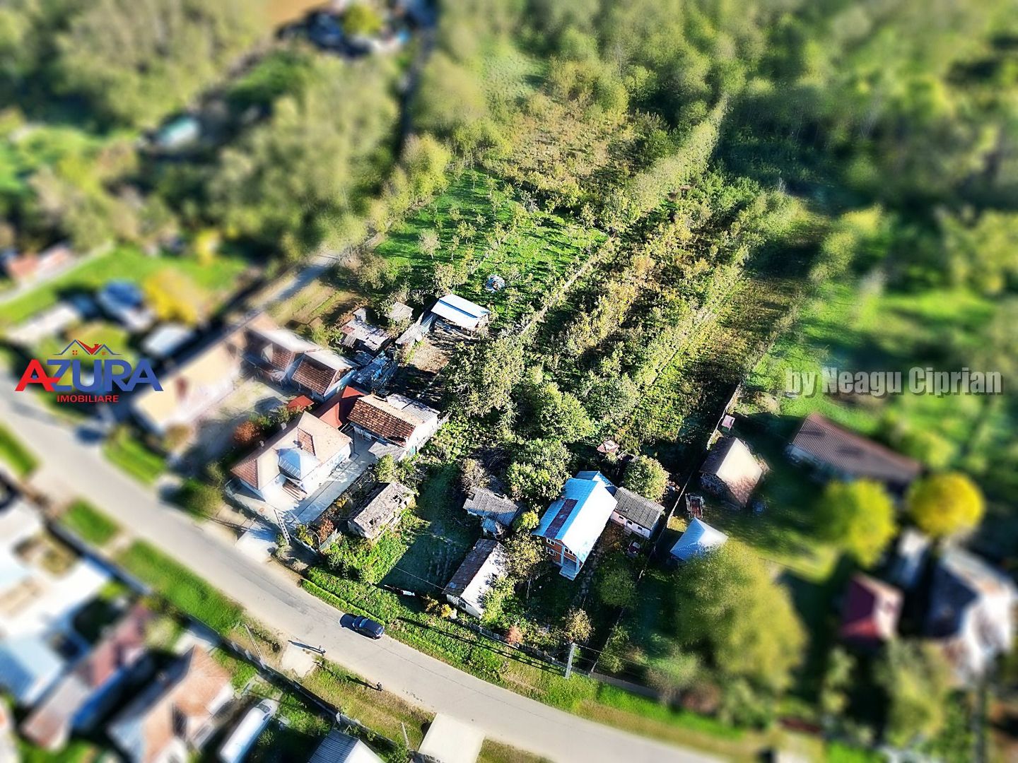 Vanzare teren 3300 mp, intravilan, Albota - Mares - Poză 9