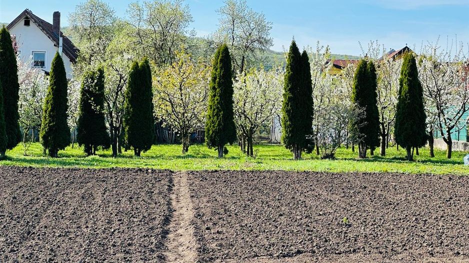 Vila remarcabila+casa boiereasca,in pretios areal de 2.100 mp, Santana de Mures - Poză 7