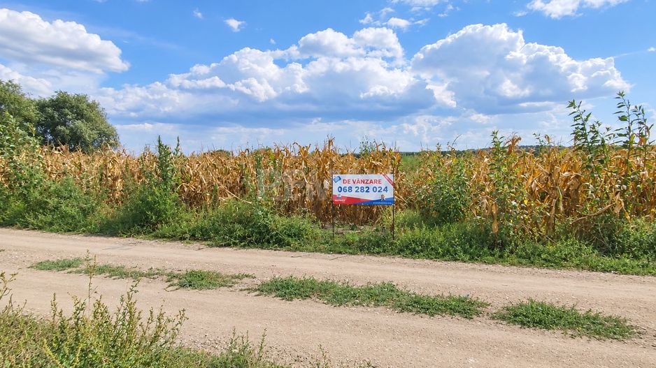 TEREN PENTRU GRĂDINI – 12 ARI | FLORENI, ANENII NOI - Poză 7