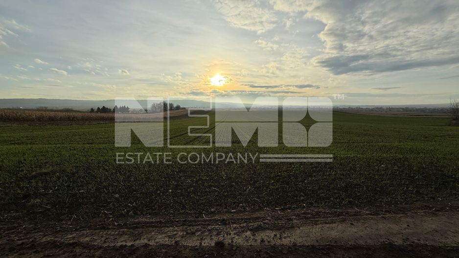 TEREN EXTRAVILAN | E85 | 126.000EURO NEGOCIABIL | - Poză 2