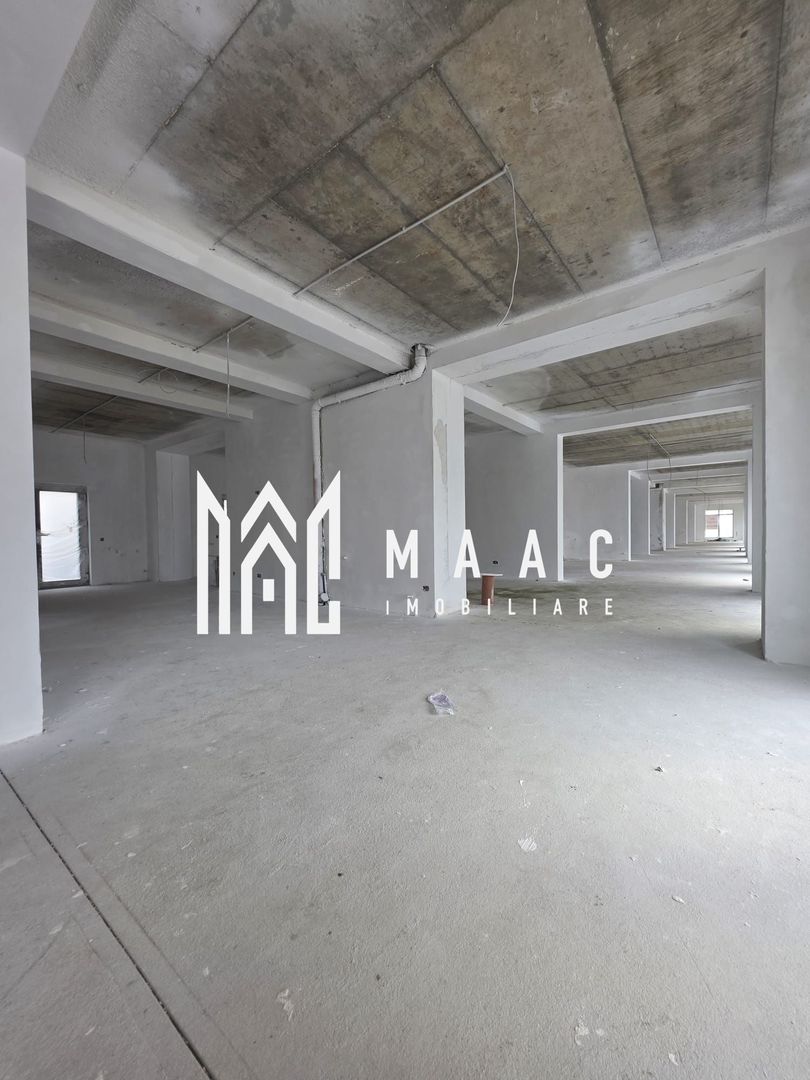 Spatiu Comercial I Open Space I 620mpu I Doamna Stanca - Poză 2
