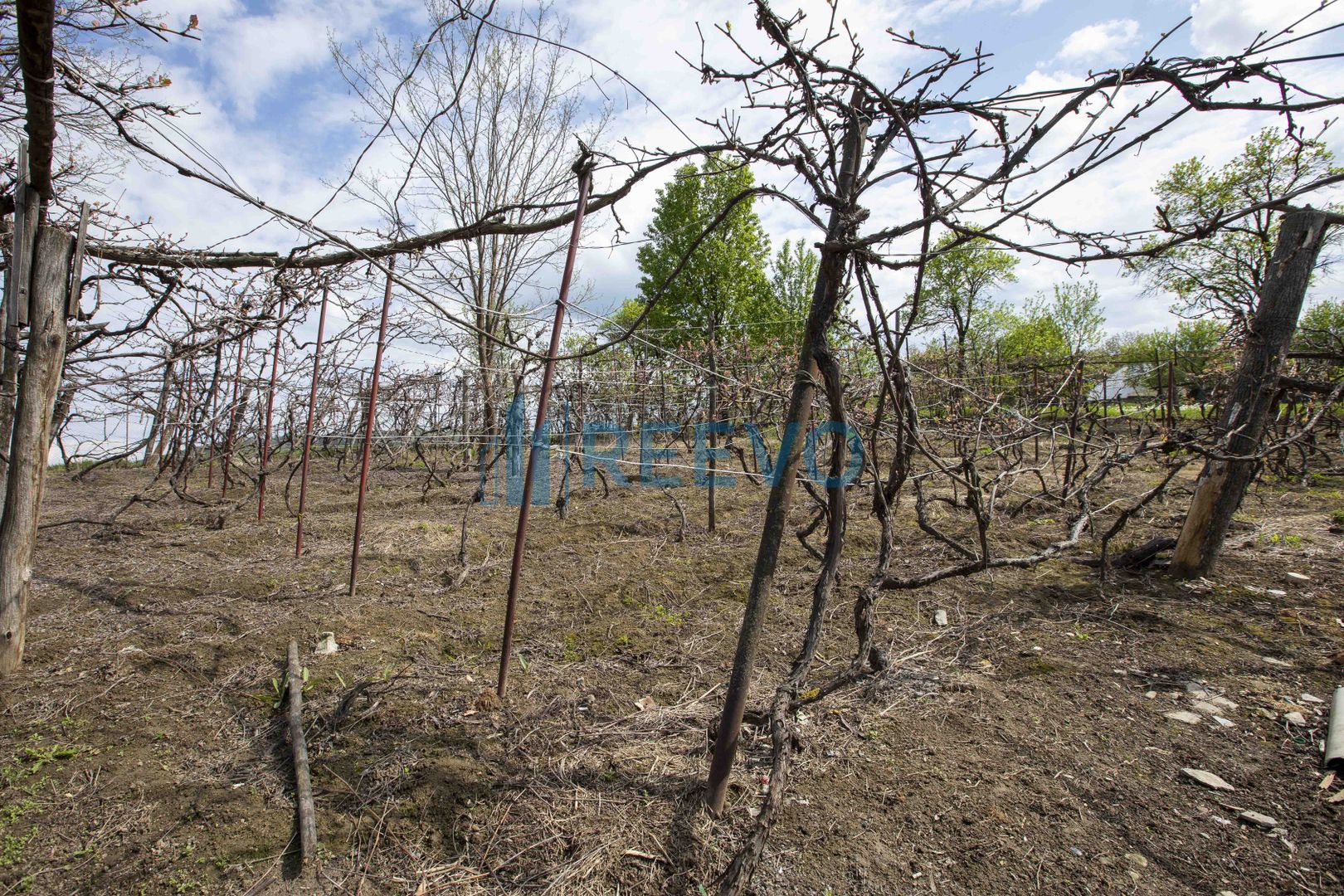 Casă de vânzare în Blăgești, Bacău - Poză 32