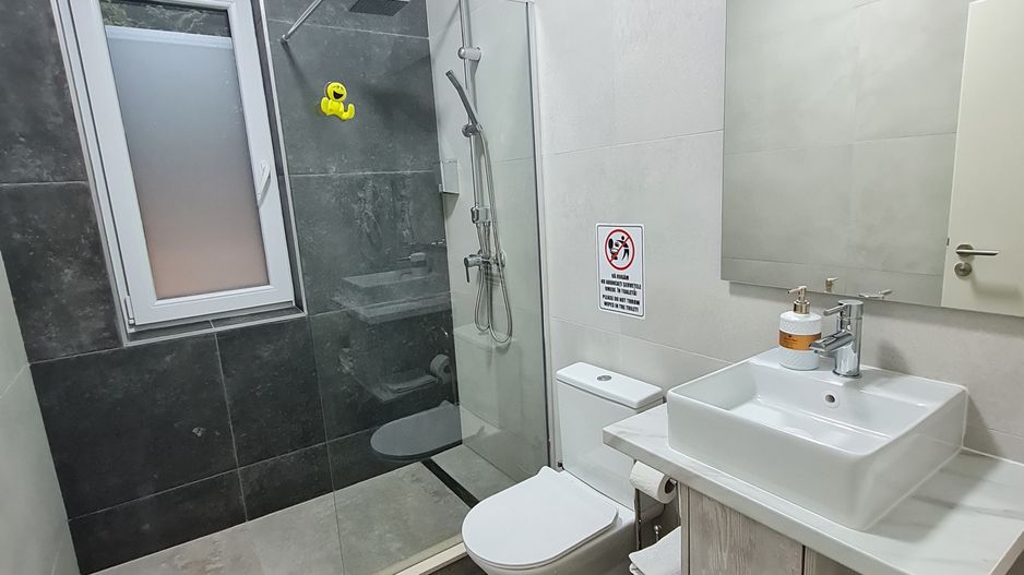 Minimalista in Dumbravita - Poză 18