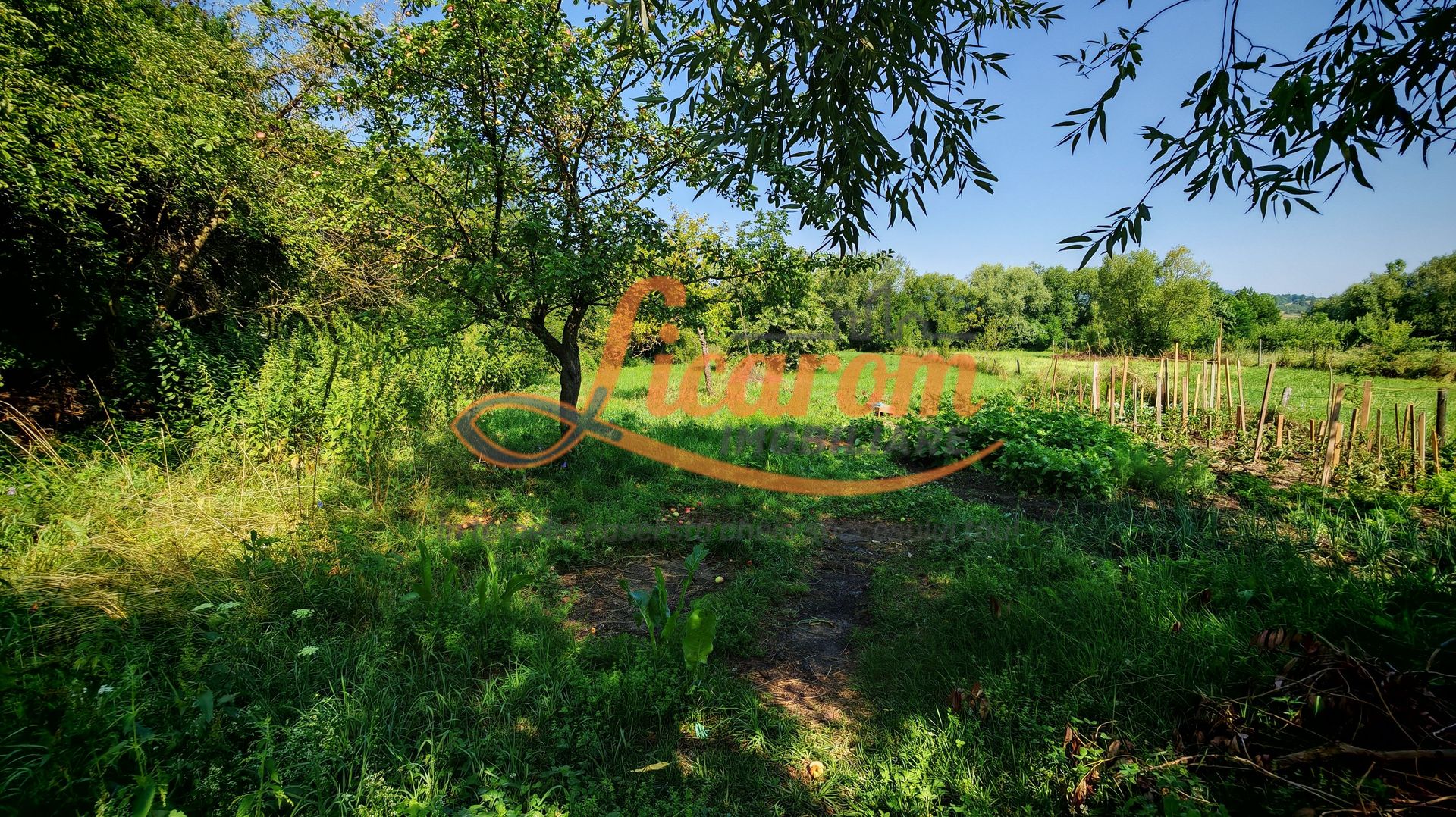 CASA SASEASCA comuna VULCAN,zona foarte buna,teren 3000 mp - Poză 19