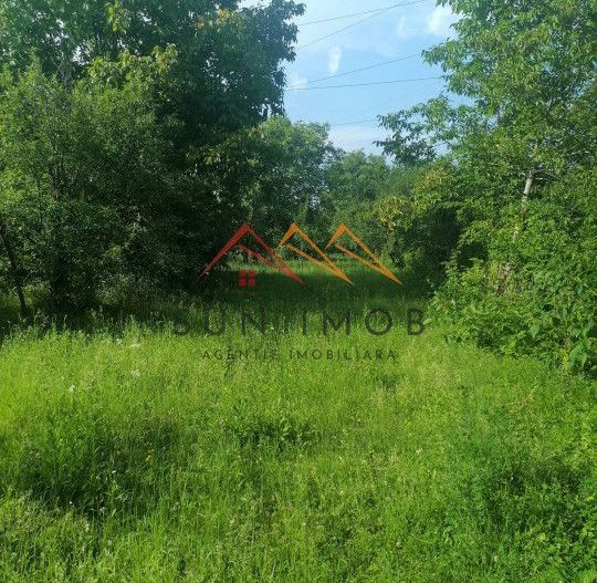 Teren intravilan Municipiul Campina, 1900 mp, investitie - Poză 3