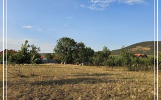 Opurtunitate si liniște Casa de vânzare la cheie Mocrea Jud. Arad - Poză 31