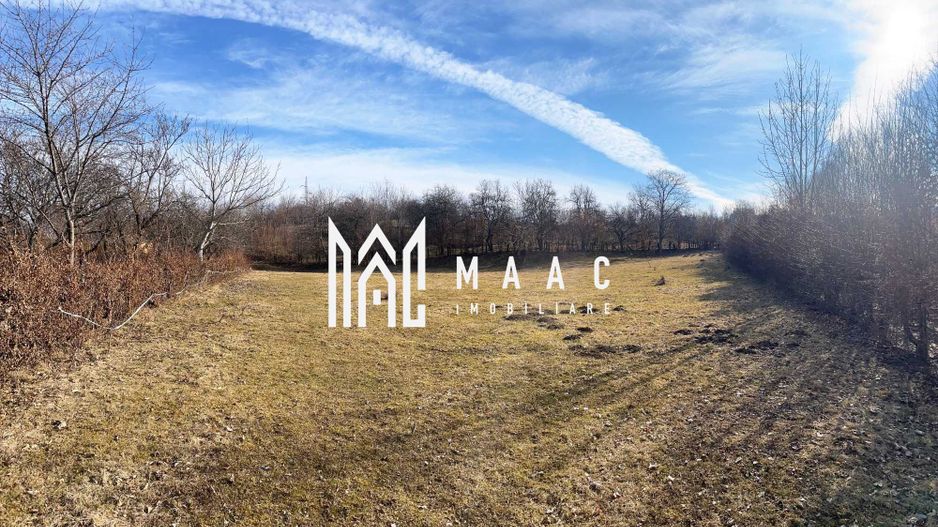 Teren intravilan I 2300mp I Zona Rasinari - Poză 3