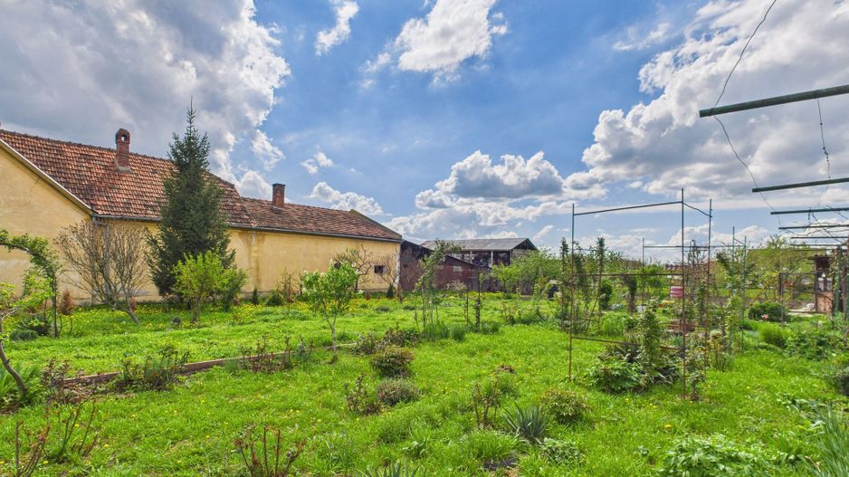 Teren 1300 mp, Beregsău Mare - Poză 1