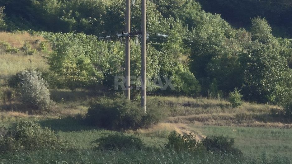 Teren agricol de 83 ari Com. Băcioi, Mun. Chișinău - Poză 1