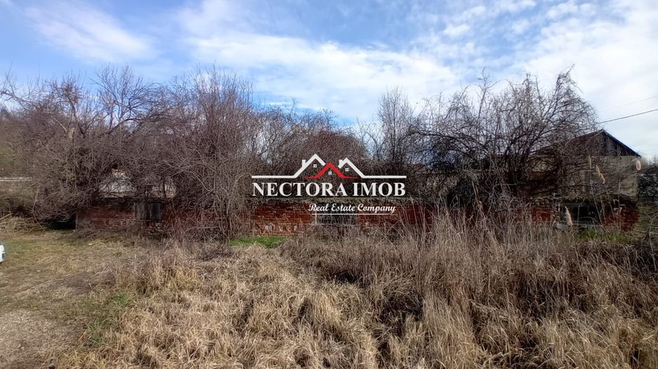 NECTORA IMOB-Teren Intravilan Zona Facliei, Teren Plat,460 mp,F:29 ml - Poză 2