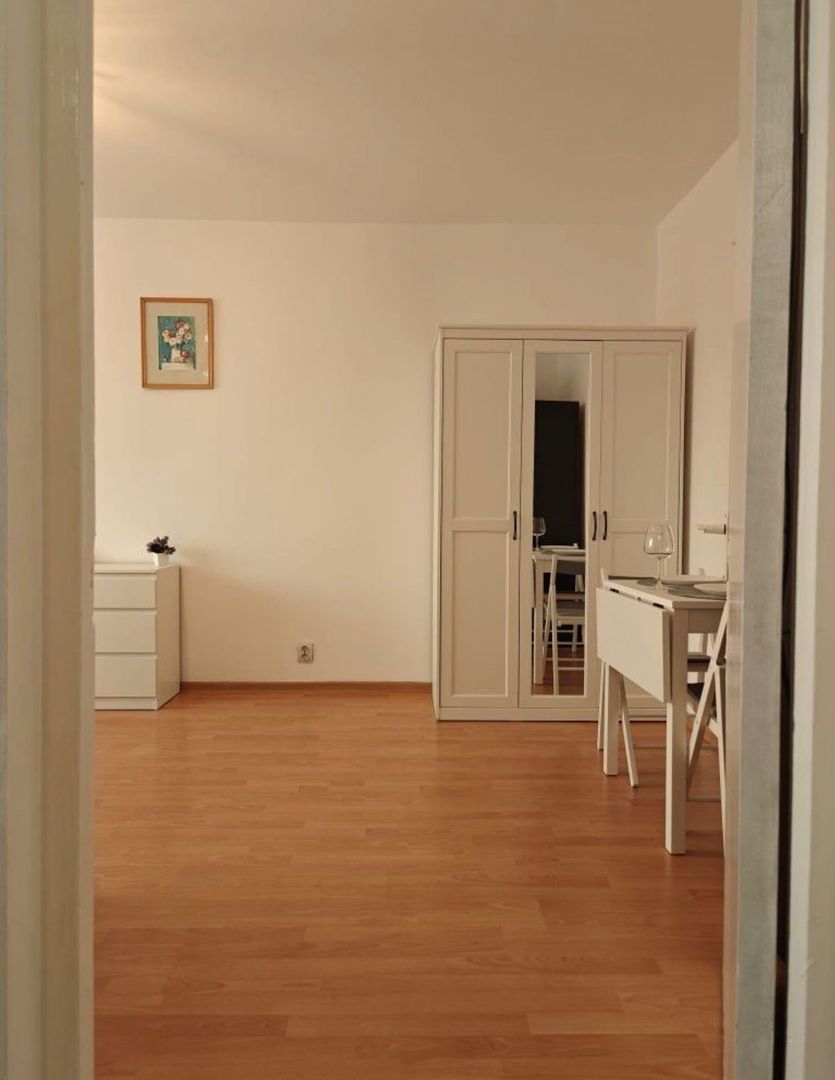 GARSONIERA DRISTOR, BUCATARIE INCHISA, PET-FRIENDLY, METROU 1 MINUT - Poză 3