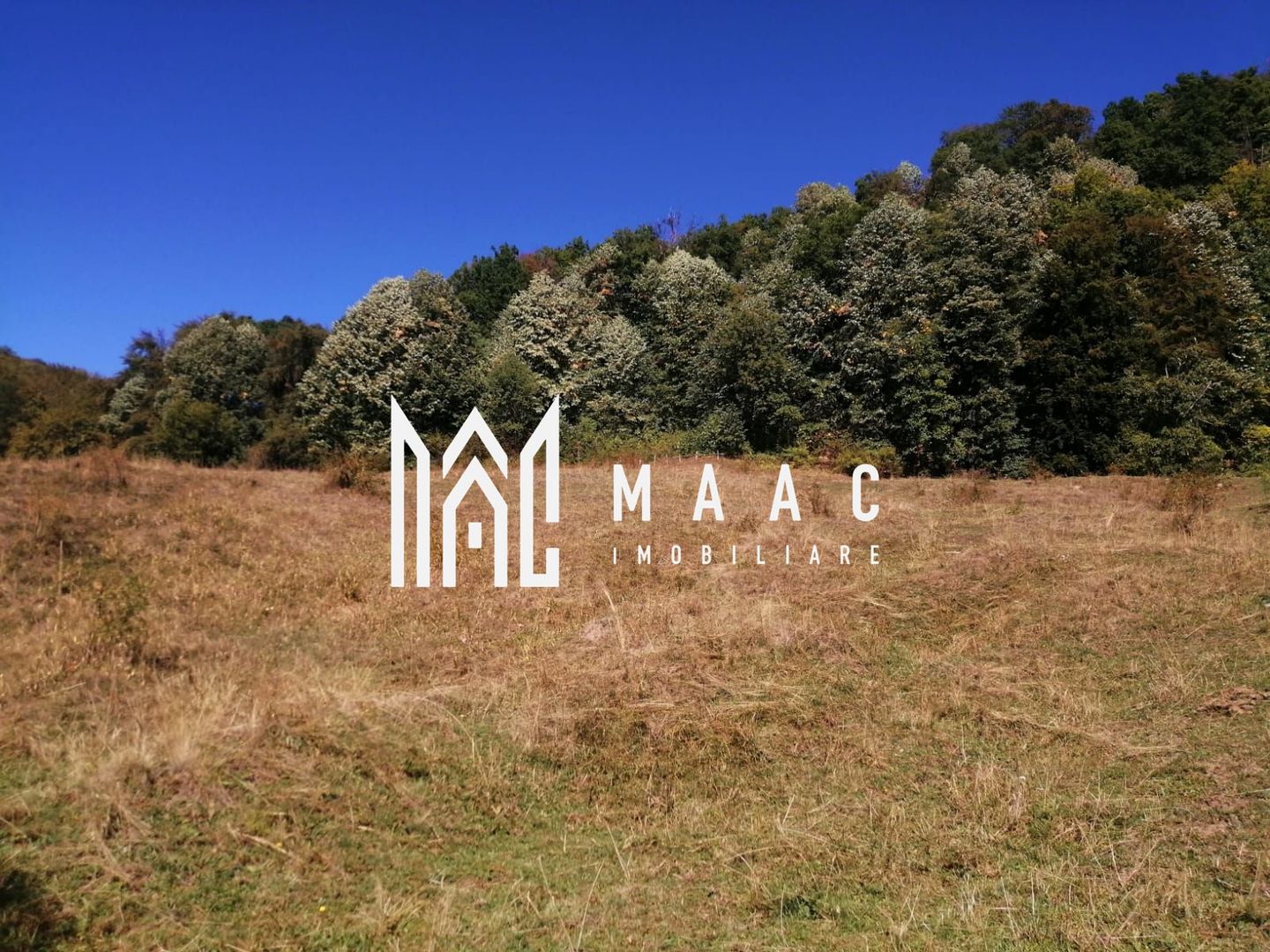 Teren Extravilan 20.000Mp I Stoenești -Vâlcea I Apă Curentă și Pădure - Poză 12