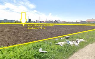 AUREL VLAICU - In spate la Raja! - Poză 3