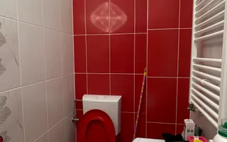 Apartament 1 camera de inchiriat | Etaj 2 | Zona Centrala - Poză 11