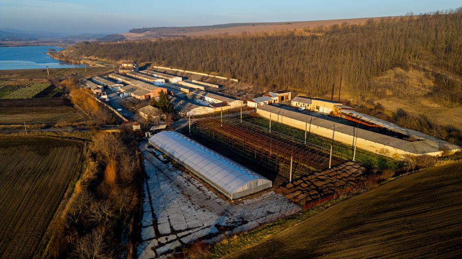 Fosta Ferma a Partidului de la Horgesti - de vanzare - Poză 14