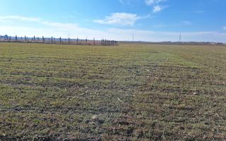 Teren intravilan Peris 12euro - Poză 7