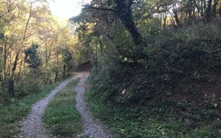 De vanzare Teren extravilan Pasune, (Roca Bruna) Paulis jud. Arad - Poză 2