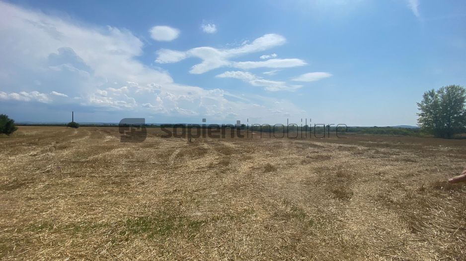 Sapient | Teren intravilan  la E60 - Poză 4