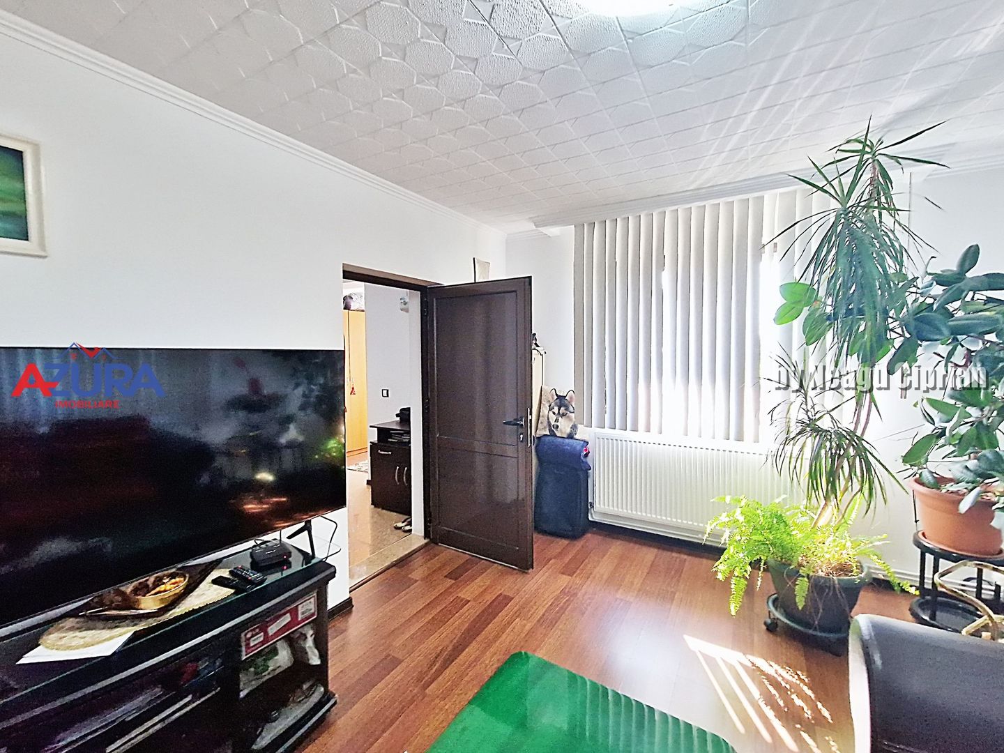 Casă Budeasa Mare 122 mp, teren 406 mp, renovată și mobilată - Poză 4