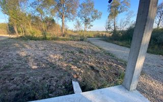 Case Hardic | La roșu | 720Mp - Poză 3