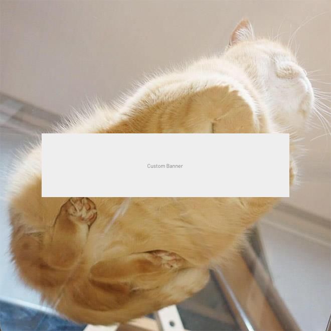 APARTAMENT NOICE CU CHIRIASI LA PACHET - Poză 3