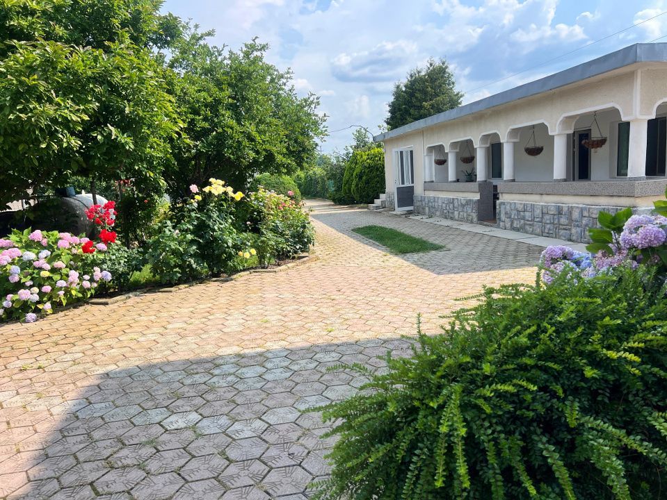 Casa visurilor cu 4000 mp livada roditoare si gradina Darmanesti-Arges - Poză 29