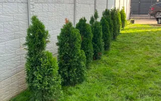 CASĂ MODERNĂ DE VÂNZARE | VÂRTEJU – MĂGURELE | TEREN 300 MP - Poză 21