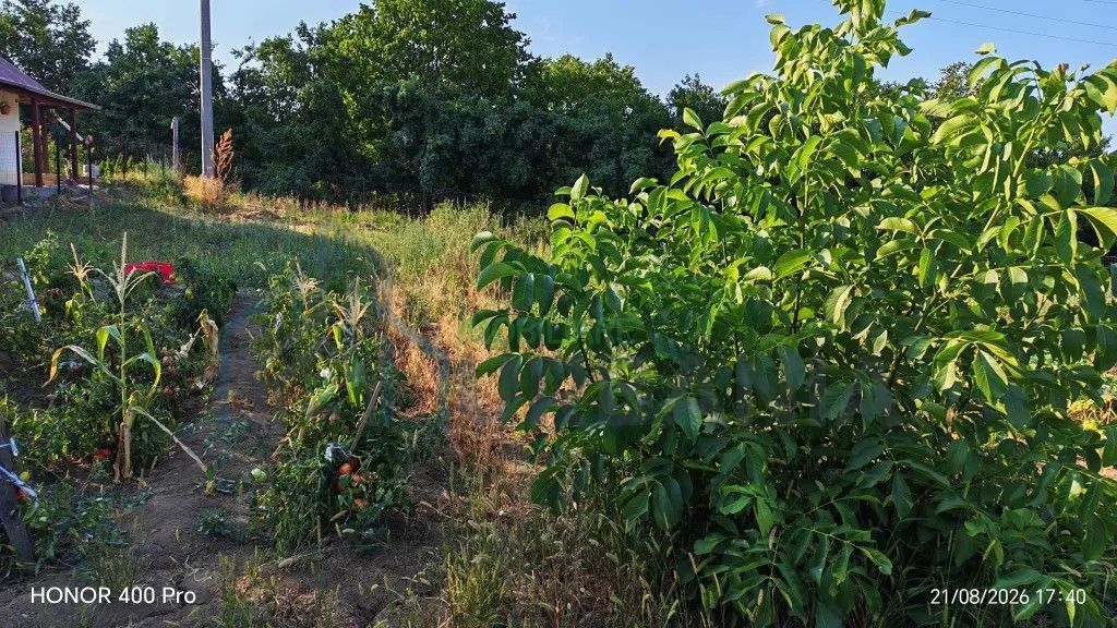 Teren de vânzare în Dealul Viilor, Hârlău – 2.100 mp, gard și pomi fructiferi - Poză 1