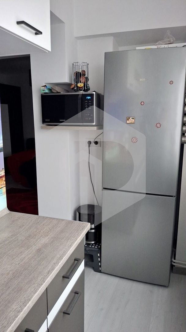 Apartament/Studio 1 camere-Lazaret-Bucatarie separata - Poză 14