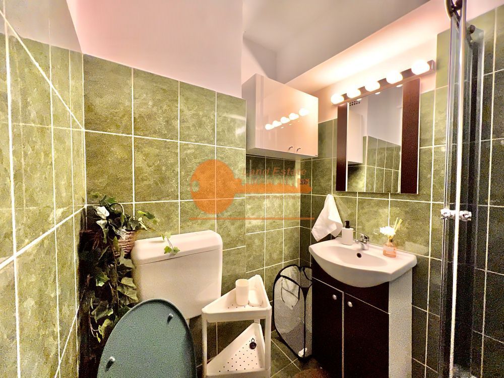 Garsoniera Piata Victoriei ( vedere panoramica ) - Poză 3