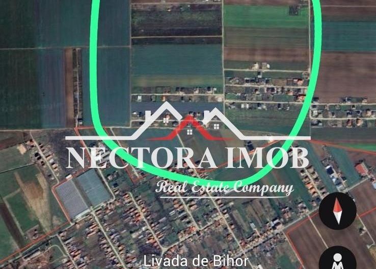 NECTORA IMOB-Ocazie-Teren Intravilan 567 mp, Livada de Bihor,Utilitati - Poză 2
