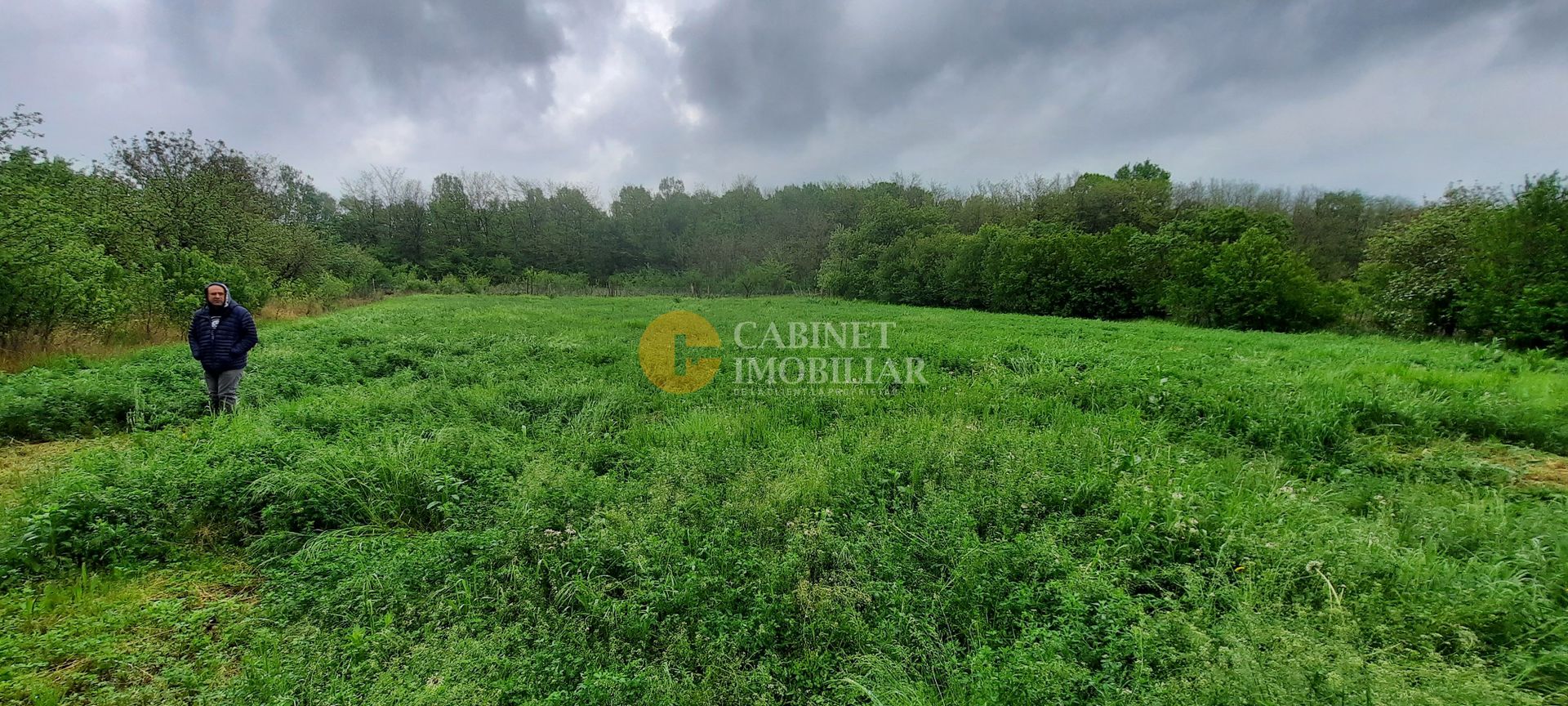 🏡 Casă cu livadă sat Prisăcani  - Teren 4500 mp - Poză 6