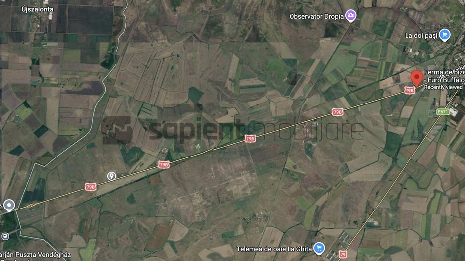 De vânzare teren extravilan, 11,600 mp, Salonta - Poză 3