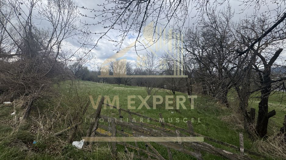 TEREN INTRAVILAN 2153 MP IN VALEA MARE PRAVAT - Poză 5