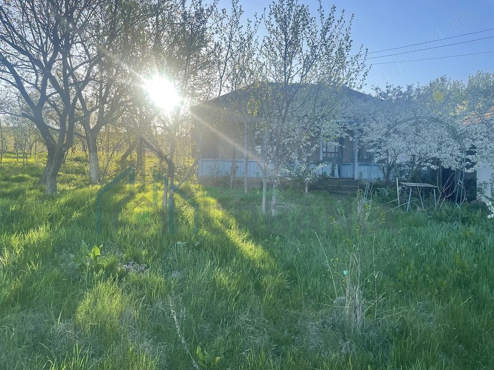 6.000 mp intravilan sat Avintu - Poză 2