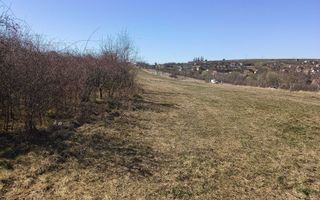 Teren | Intravilan | 400 MPU | Daia - Poză 2