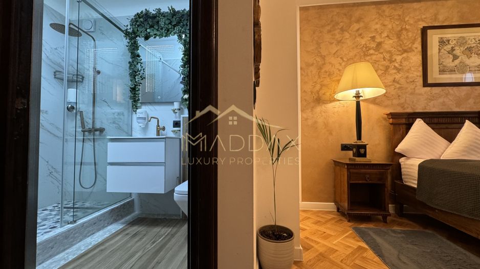 Apartament cu 4 camere / Posibilitate investitie / Arcul de Triumf - Poză 14